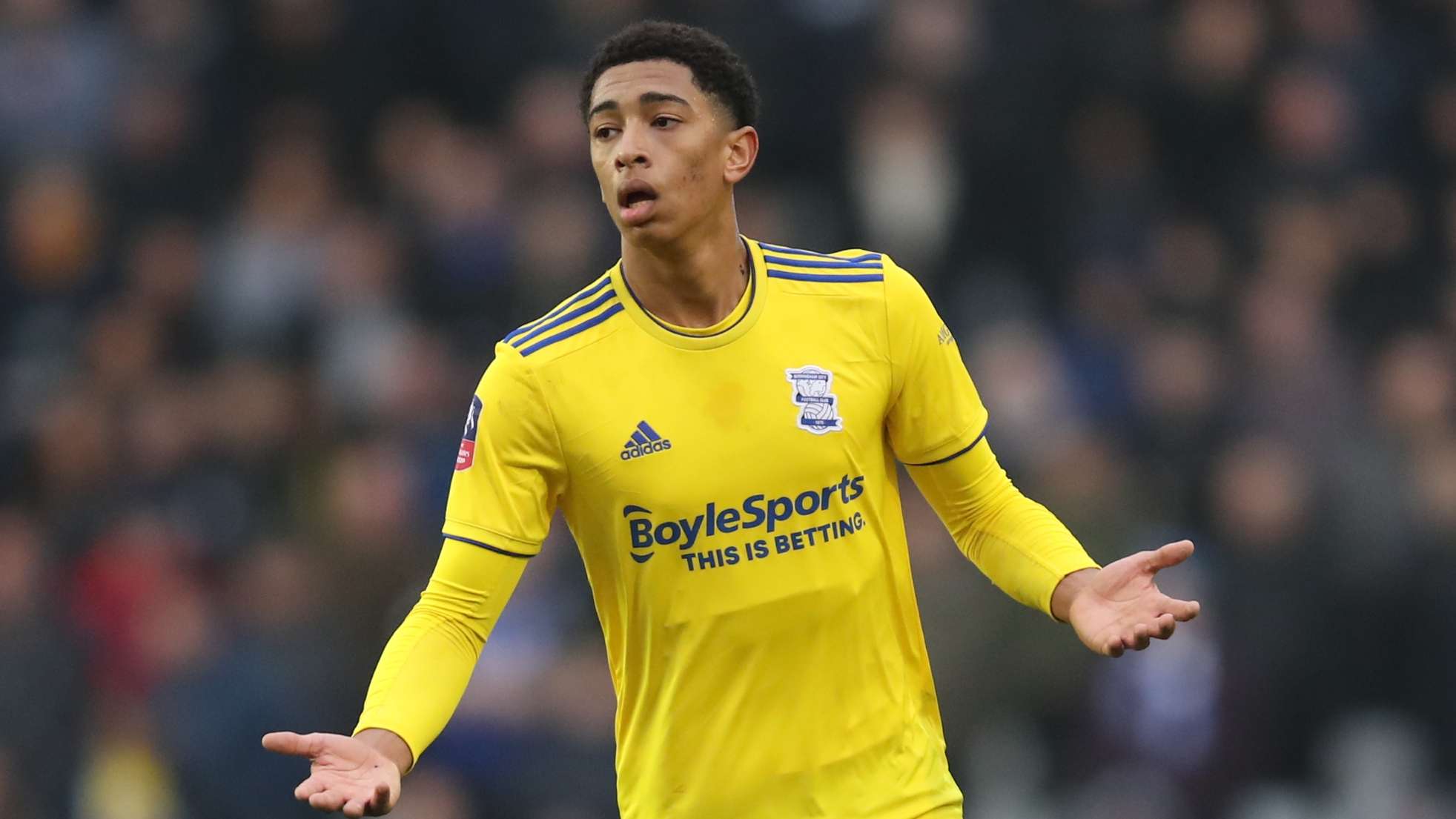 礼进行详细 礼进行详细